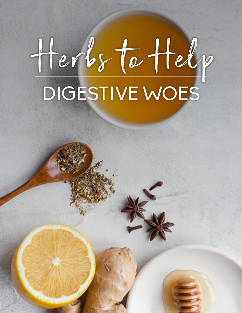 Your 3 Day Digestive Detox Bundle – Francine Alleyne - Holistic ...